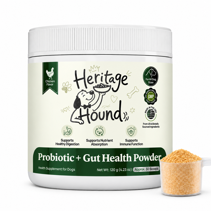 Probiotic + Gut Health Powder