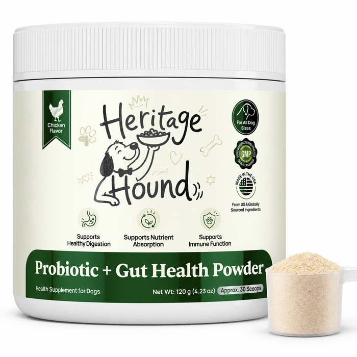 Probiotic + Gut Health Powder