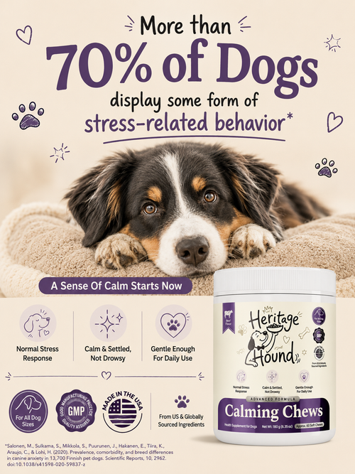 Advanced Calming Soft Chews
