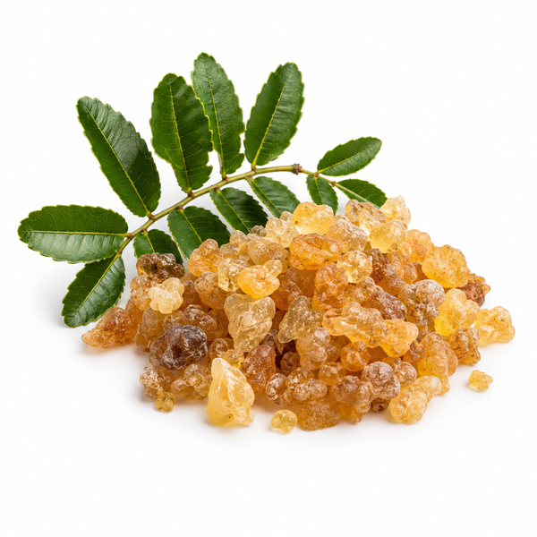 Boswellia Serrata