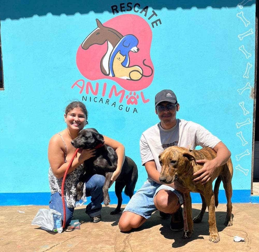 Our first shelter partner